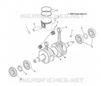 PISTON   CRANKSHAFT (800)