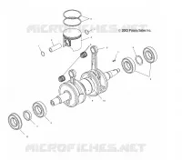 PISTON   CRANKSHAFT (800)