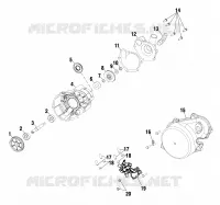 WATER PUMP / OIL PUMP