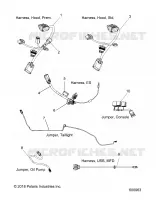 ELECTRICAL, JUMPERS/WIRE HARNESS
