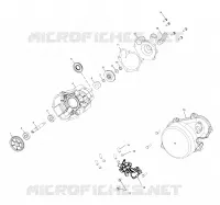 WATER PUMP/OIL PUMP