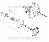 DRIVEN CLUTCH ASSEMBLY
