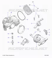 ENGINE, THROTTLE BODY AND FUEL RAIL