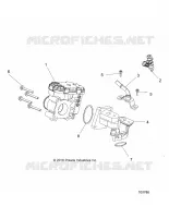 THROTTLE BODY AND FUEL RAIL