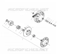 DRIVEN CLUTCH