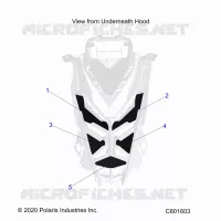 HOOD FOAM/SEAL