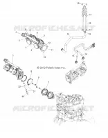 THROTTLE  BODY AND INJECTOR
