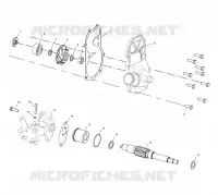 WATER PUMP/OIL PUMP