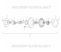 DRIVEN CLUTCH