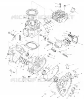 CRANKCASE AND CYLINDER (SPORT)