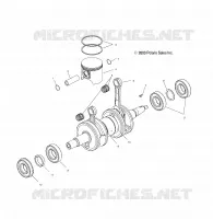 PISTON   CRANKSHAFT (800)