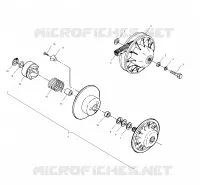 DRIVEN CLUTCH