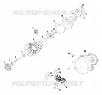 WATER PUMP / OIL PUMP