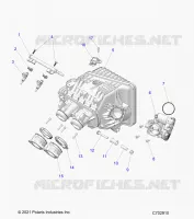 ENGINE, INTAKE MANIFOLD, THROTTLE BODY, FUEL RAIL- Z24NMF99AR/AM/BR/BM (C702910)