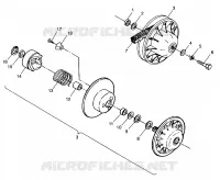 DRIVEN CLUTCH