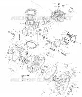 CRANKCASE AND CYLINDER (SPORT)