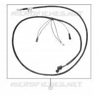 WIRE HARNESS, TAILLIGHT