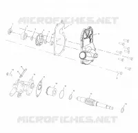 WATER PUMP/OIL PUMP