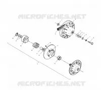 DRIVEN CLUTCH