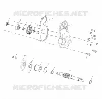 WATER PUMP/OIL PUMP