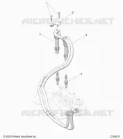 ENGINE, IGNITION COILS AND SPARK PLUGS