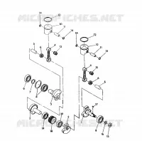 PISTON   CRANKSHAFT INDY LITE (4921332133028A)
