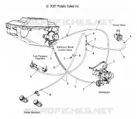 HOSES