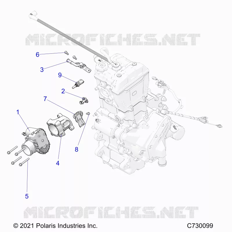 ENGINE, THROTTLE BODY AND FUEL RAIL