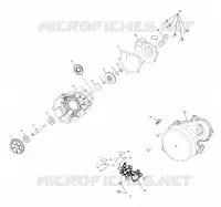WATER PUMP/OIL PUMP