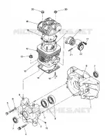 CRANKCASE AND CYLINDER      STAR AND STARTRAK (4916811681033A)