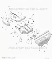 EXHAUST