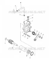 OIL PUMP STAR (4914151415033A)