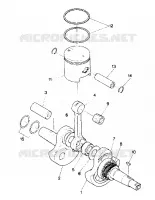 CRANKSHAFT AND PISTON ASSEMBLY (4913501350032A)