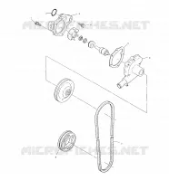 WATER PUMP/OIL PUMP