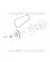 ENGINE, DRIVE PULLEY AND DRIVE BELT