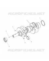 ENGINE, CRANKSHAFT