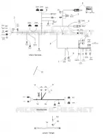 WIRE HARNESS