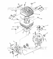 CRANKCASE AND CYLINDER 250 4X4 / W928127 (4922872287C013)
