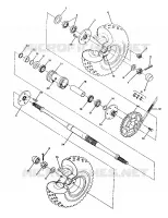 REAR WHEEL DRIVE ASSEMBLY 250 2X4