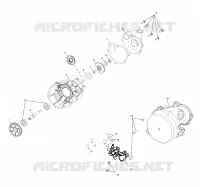 WATER PUMP/OIL PUMP