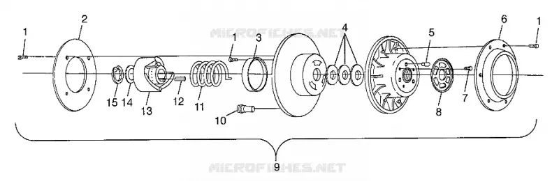 DRIVEN CLUTCH