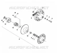 DRIVEN CLUTCH