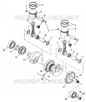 PISTON   CRANKSHAFT