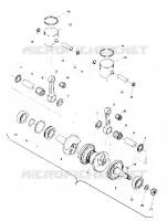 PISTON AND CRANKSHAFT (TRAIL) (4909500950033A)