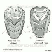 HOOD FOAM/SEAL