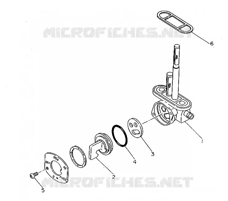 FUEL STRAINER TRAIL BOSS