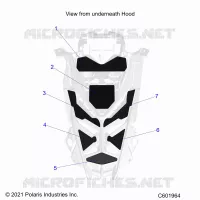 HOOD FOAM/SEAL