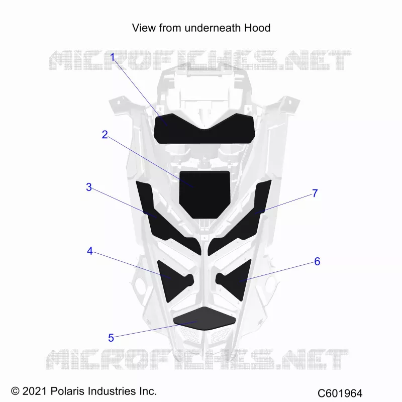 HOOD FOAM/SEAL