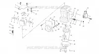 CARBURETOR (800)