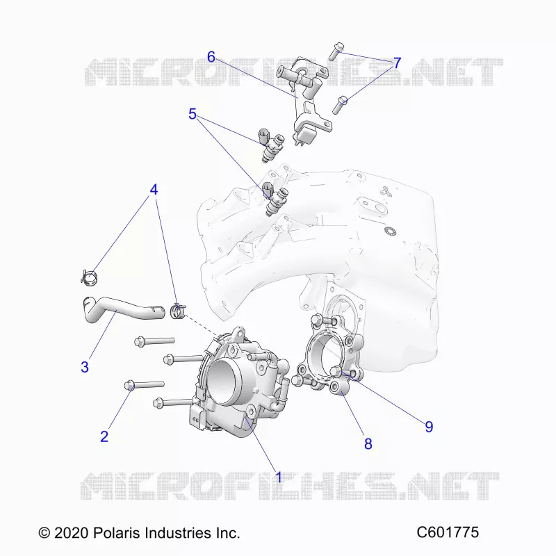 FUEL SYSTEM, THROTTLE BODY/FUEL RAIL